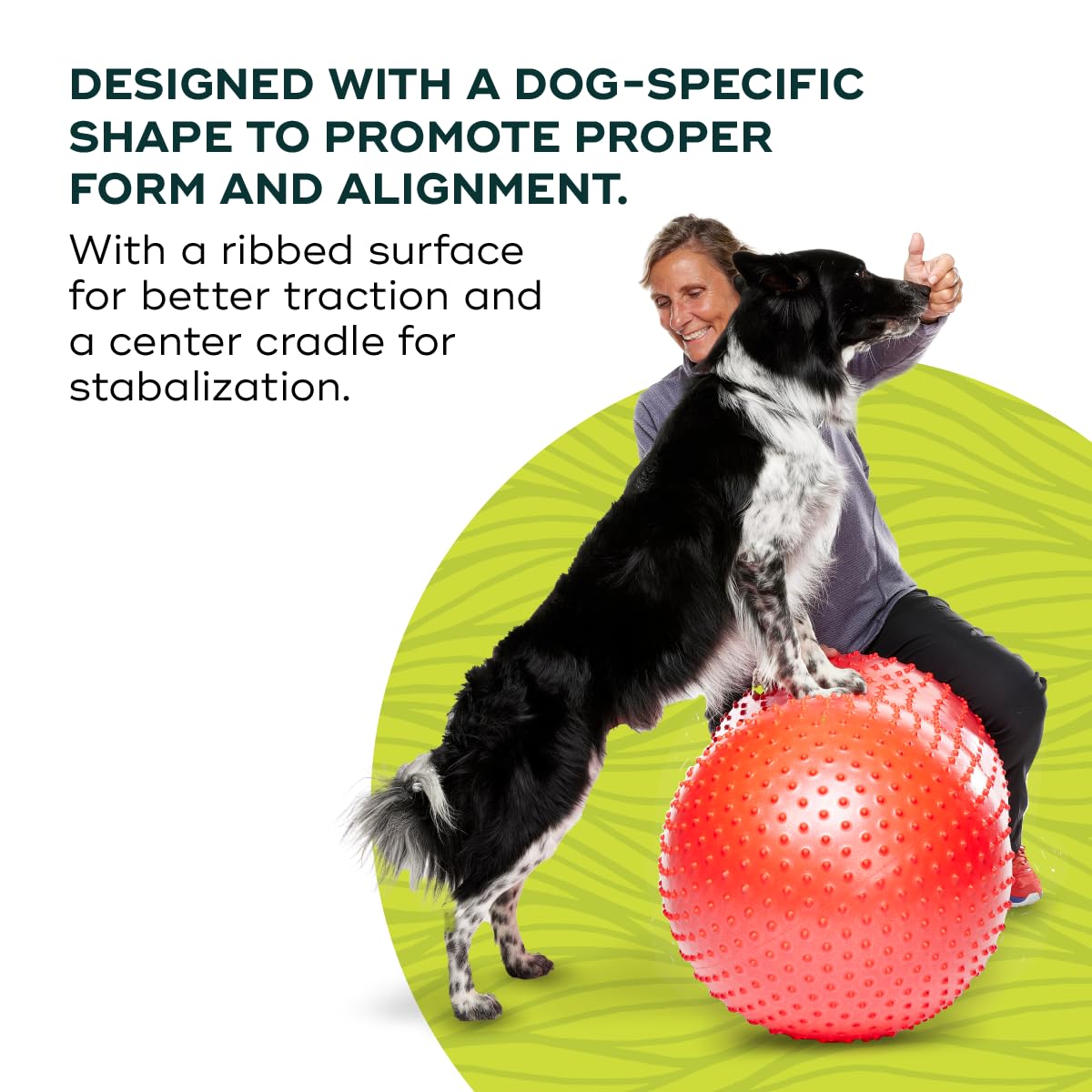 FitPAWS TRAX Balance Peanut 20