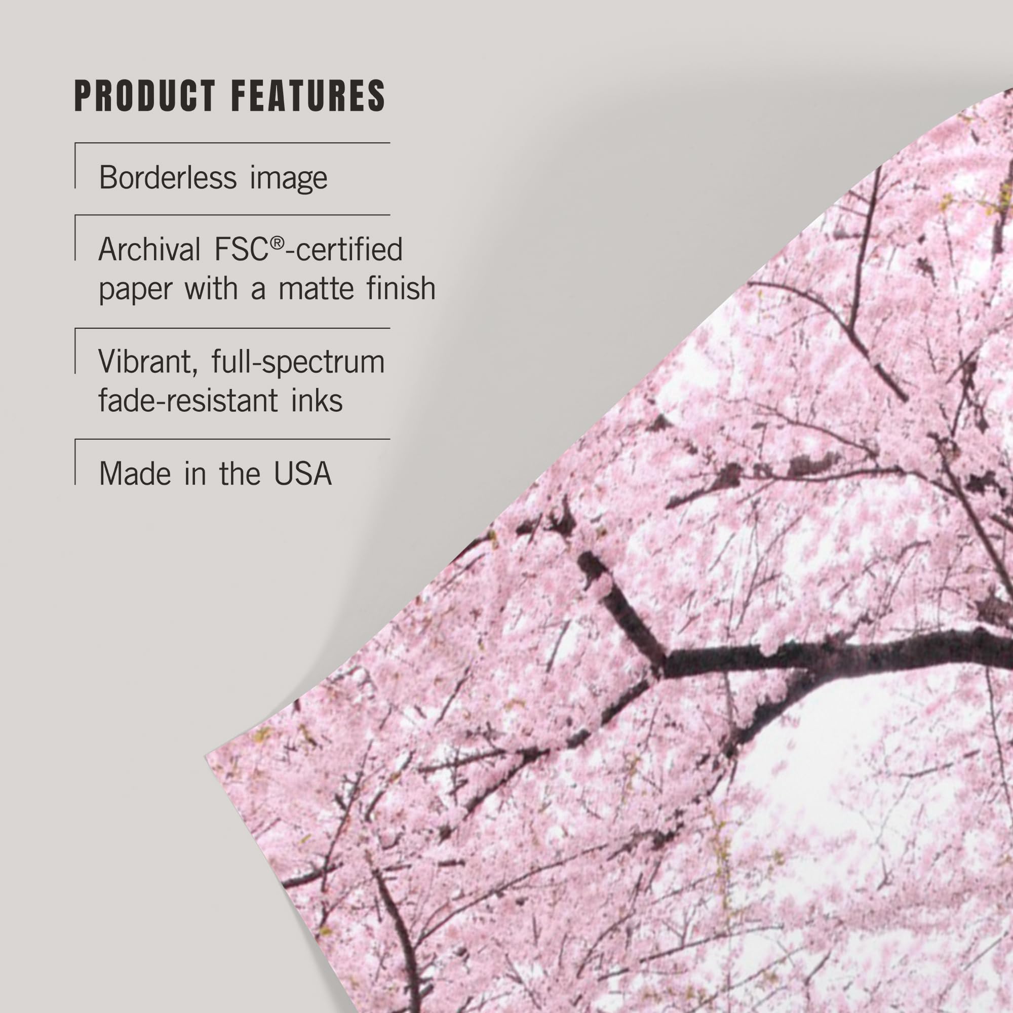 Lantern Press 16x24 Inch Cherry Blossom Giclee Art Print - Premium Wall Decor for Living Room, Bedroom & Office - Spring Floral Landscape Painting Home Decoration