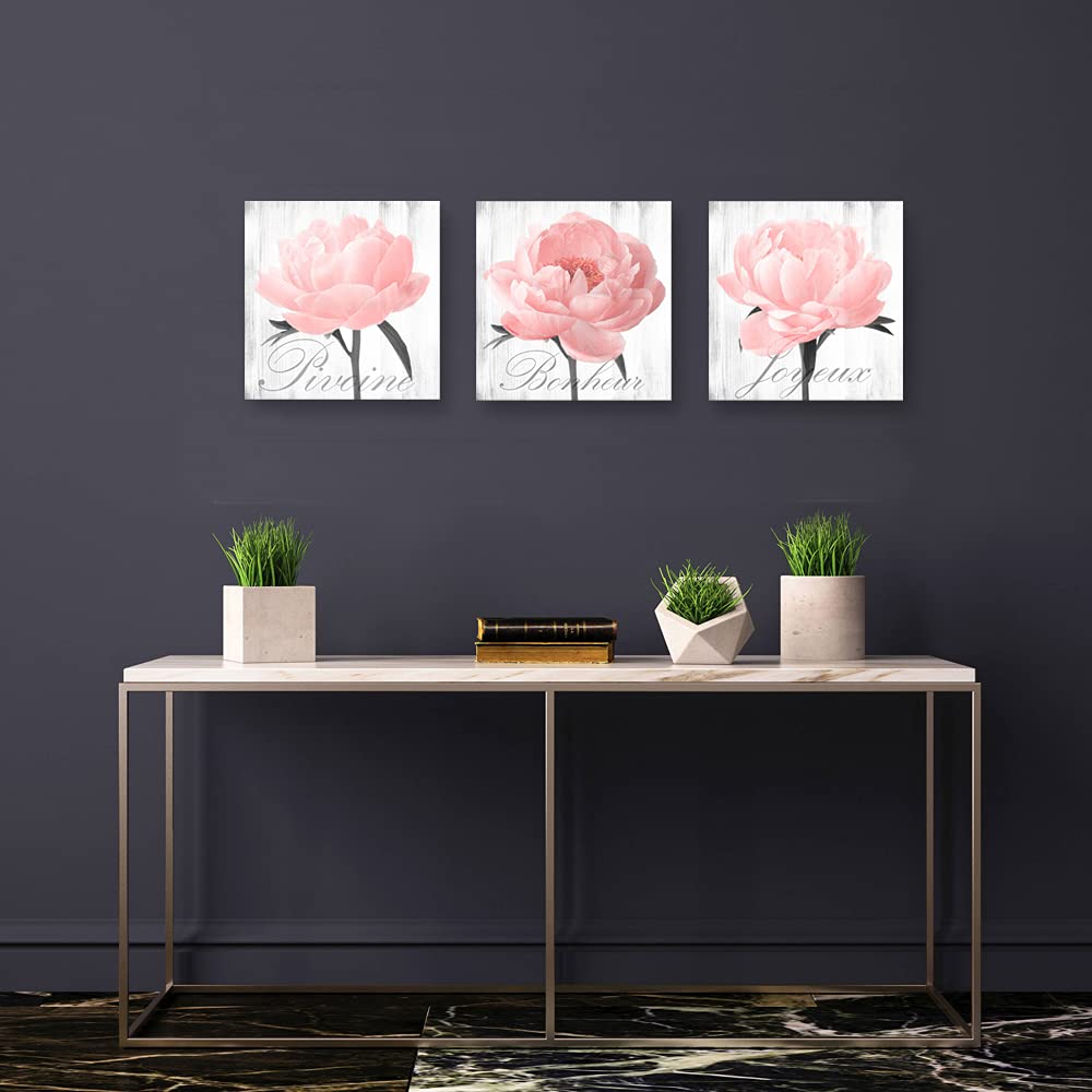Framed Peony Wall Art - Pink Grey Flower Canvas Prints for Bedroom & Living Room Decor (16x16in x3) - Farmhouse Style Home Decoration