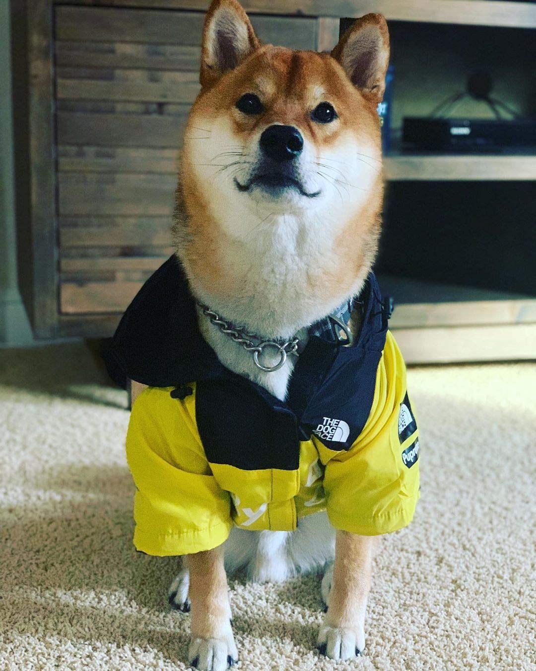 **Waterproof & Windproof Dog Raincoat with Hood - Lightweight Dog Jacket for Small, Medium, Large & XL Dogs (5X-Large, Yellow) - Perfect for Rainy Walks & Outdoor Adventures**