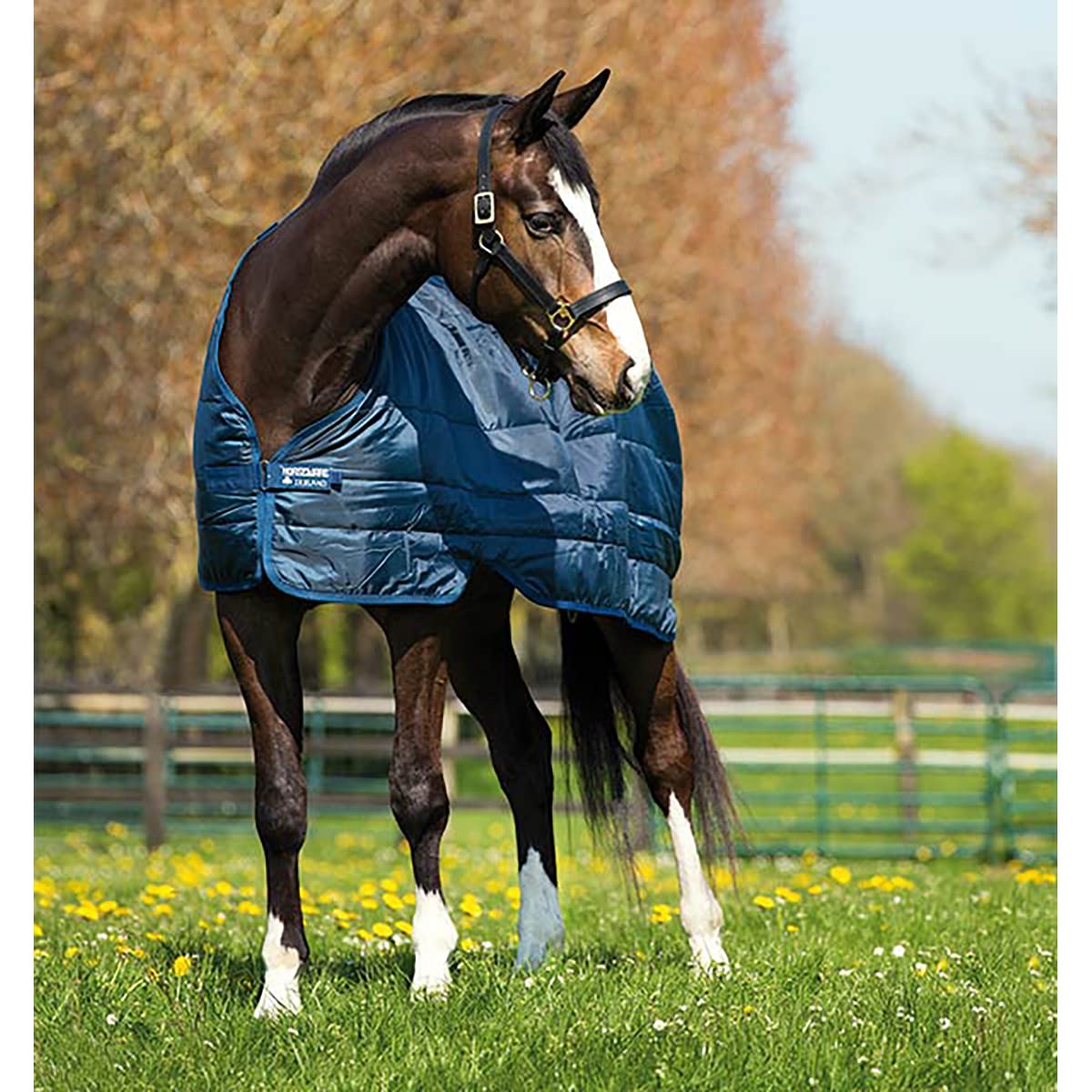 Horseware 200g Blanket Liner for Horses - Lightweight Stable Sheet for Winter Riding & Turnout Protection