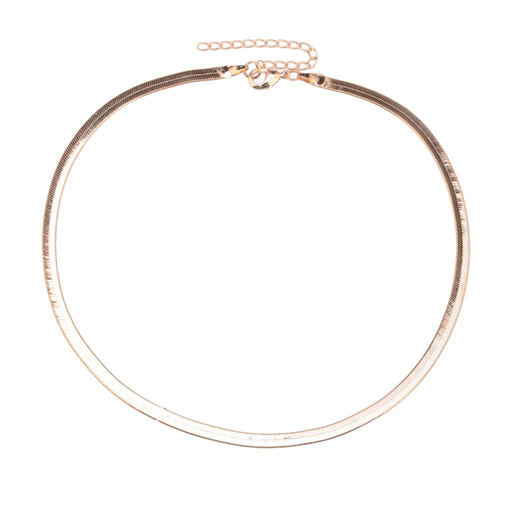GOMYIE Minimalist Snake Chain Necklace for Women & Men - Dainty Flat Clavicle Jewelry for Everyday Wear, Casual Outfits & Gifts
