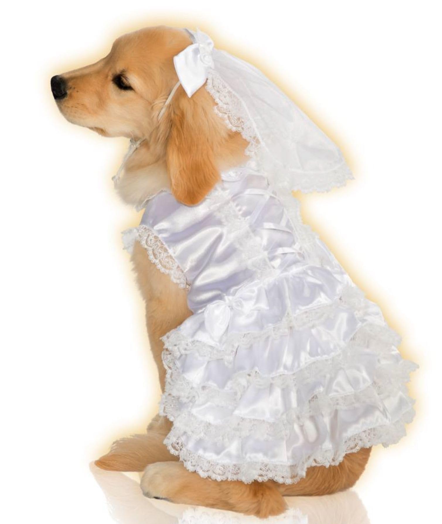 Rubie's Small Pet Bride Costume - Adorable Wedding Dress for Dogs & Cats - Perfect for Halloween, Cosplay, and Themed Parties