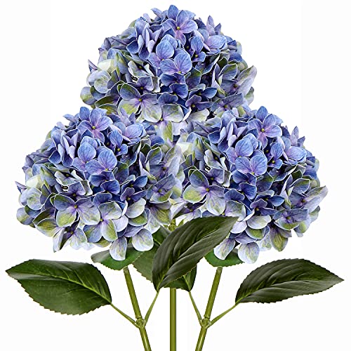 Blue Green #3