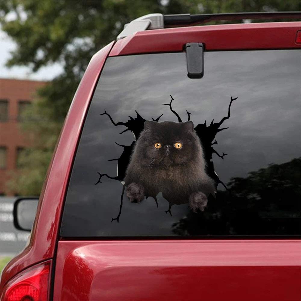 Persian Cat Car Decals - Pack of 2 Large 12