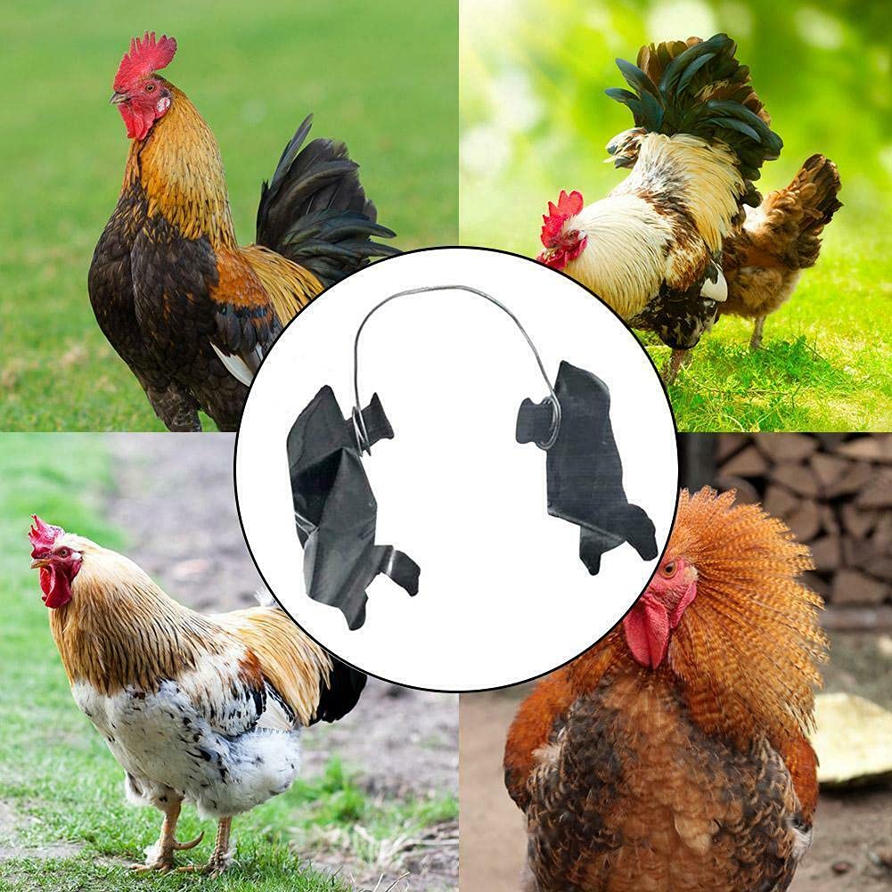 DLCJ 3D Printed Strong Chicken Arms Costume for Birds - Funny Chicken Toy & Meme Accessory for Pets, Halloween, Cosplay & Parties