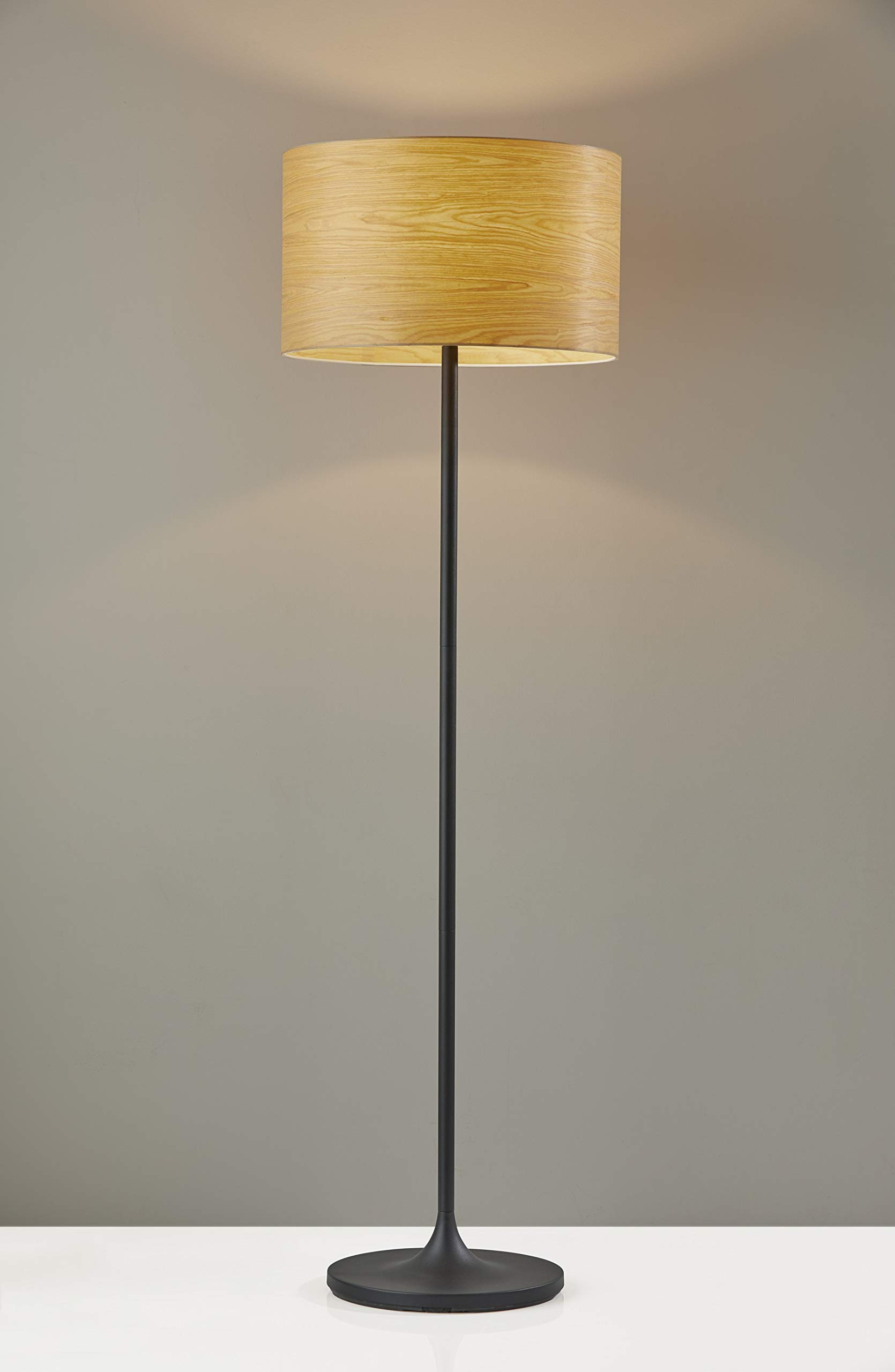 Adesso Modern Floor Lamp - Scratch Proof & Corrosion Resistant Metal Body, Adjustable Standing Light for Bedroom, Living Room, Office - Matte Black Finish for Home & Office Decor