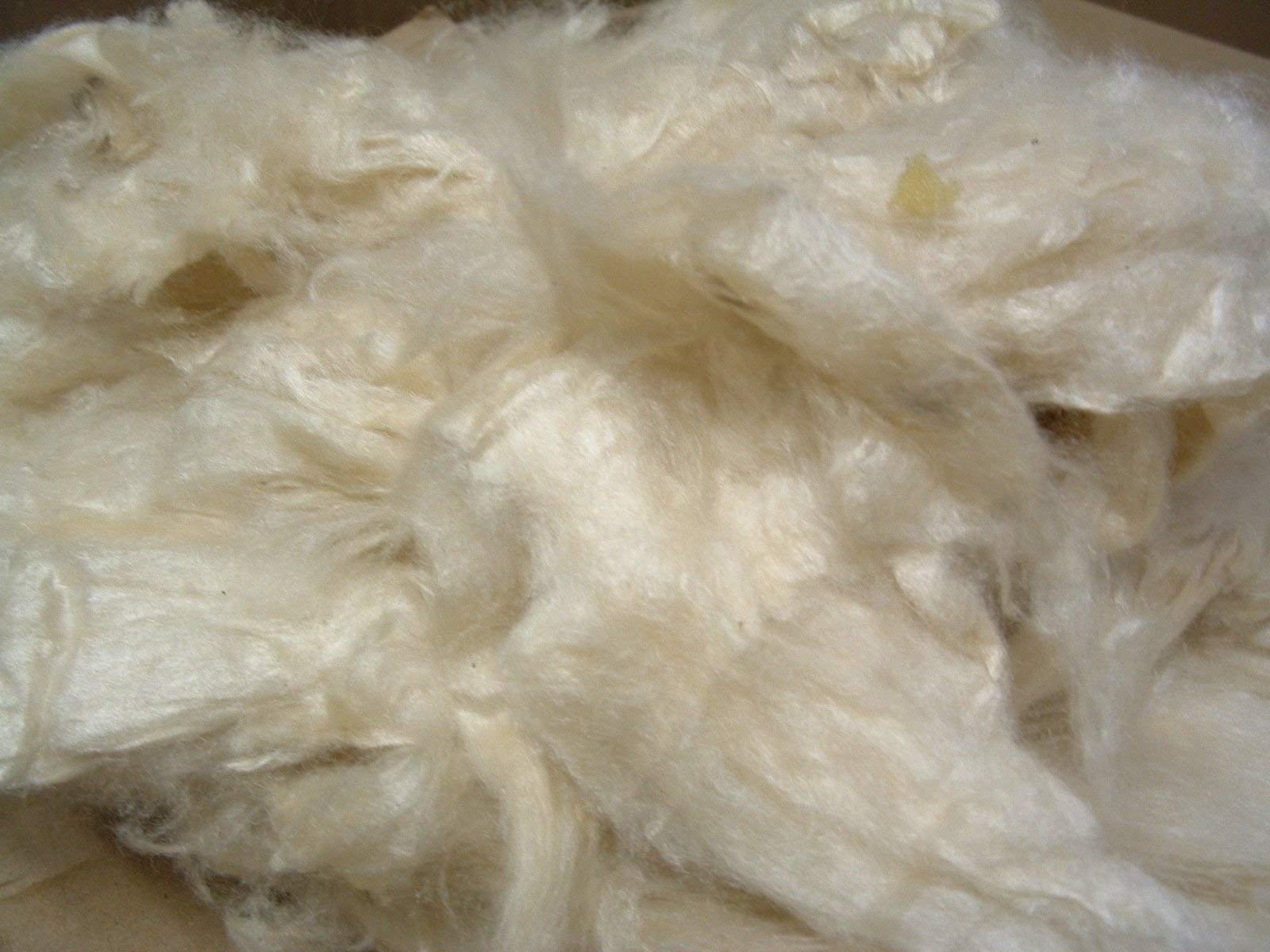 Premium 100% Organic Kapok Fiber Fill | 2.5 lbs | Chemical-Free & Hypoallergenic | USA-Made for Pillows, Pet Beds, Couches & DIY Projects | Natural Comfort for Home & Crafting