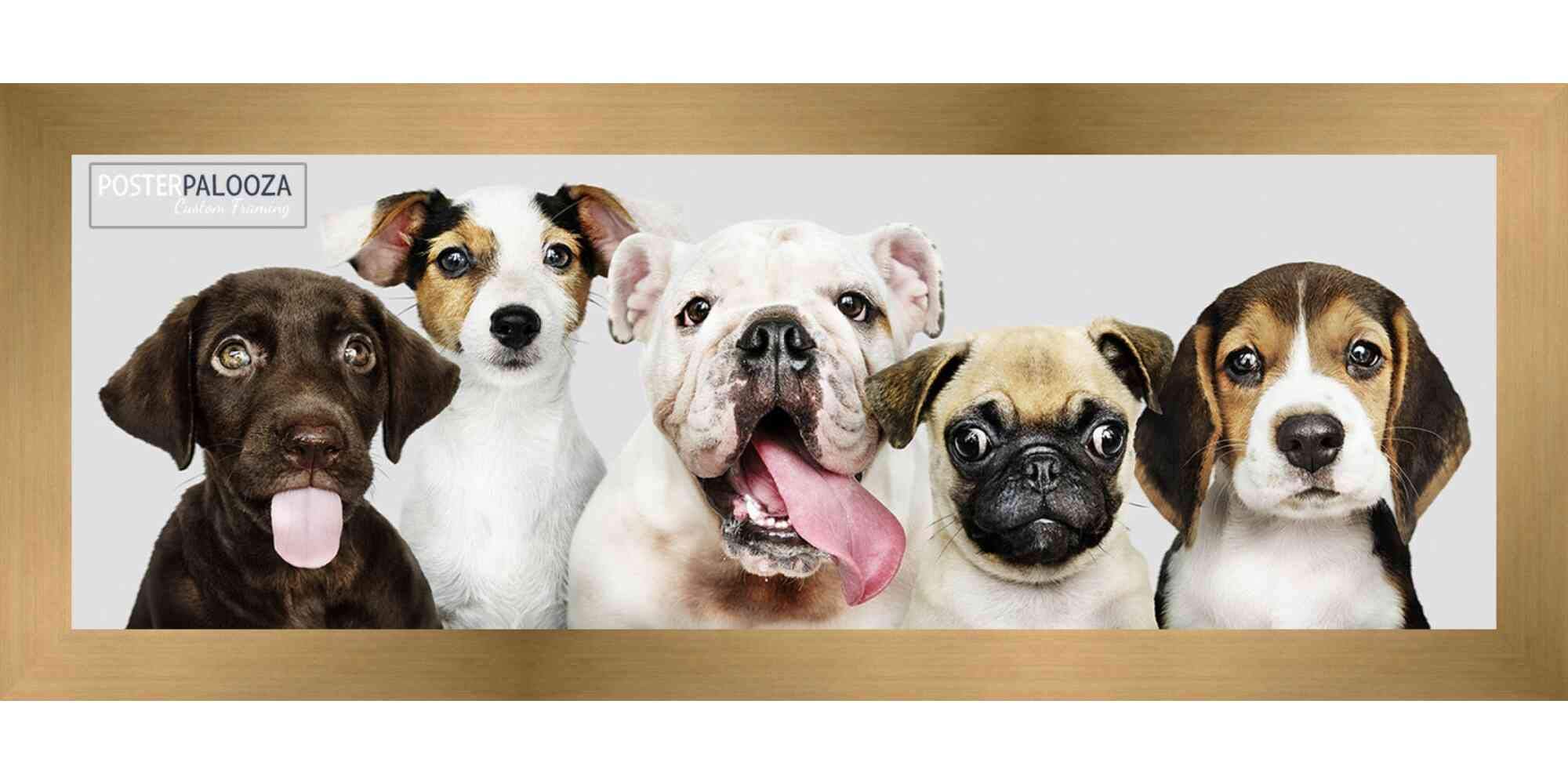 12x48 Gold Bronze Modern Minimalist Wood Picture Frame - Solid Wood Panoramic Poster Frame with UV Acrylic, Foam Backing & Hanging Hardware - Perfect for Wall Art, Home Decor, Office Display & Large Photo Frames