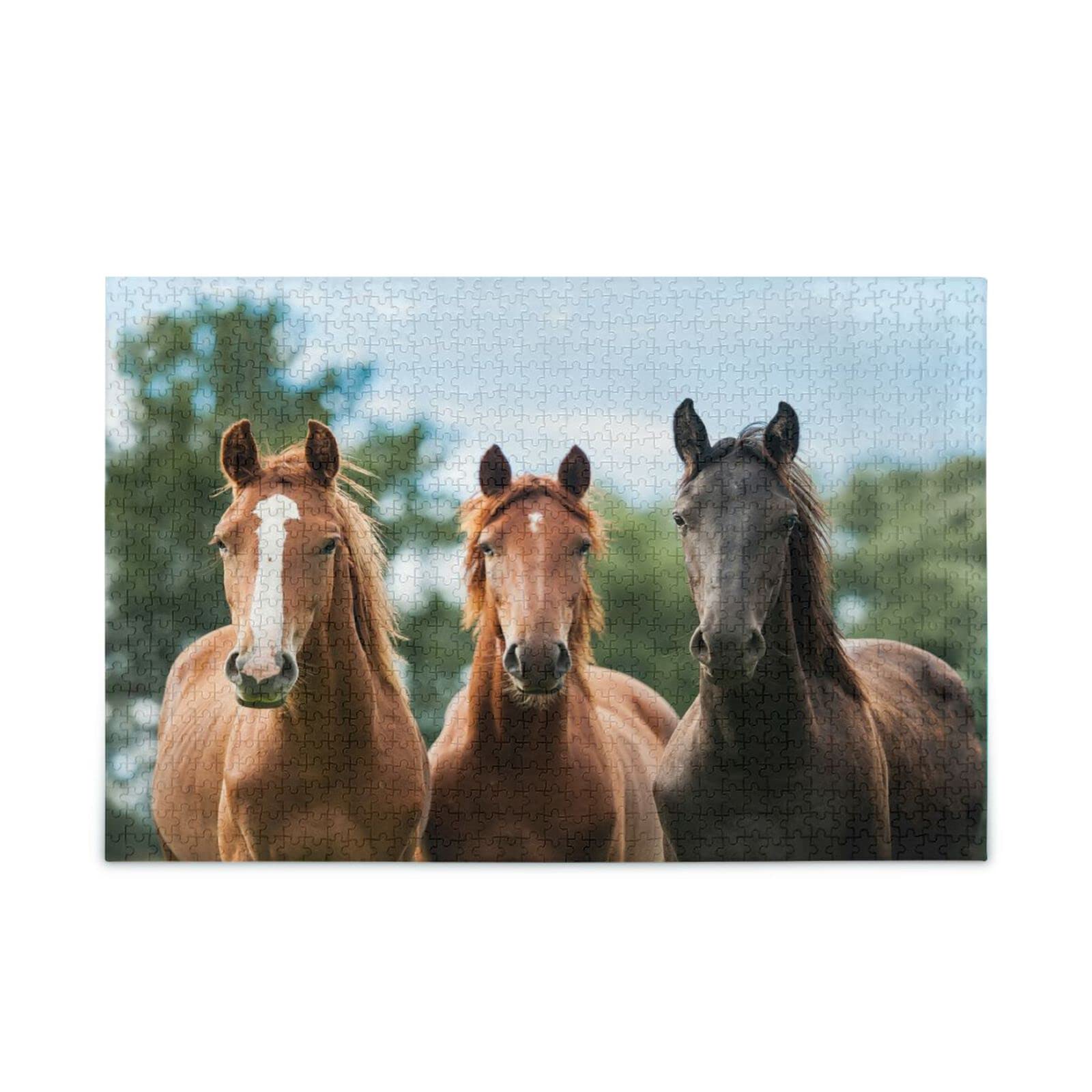 500 Piece Jigsaw Puzzle for Kids & Adults - Three Thinking Horses Fun Brain Teaser Game | Family Game Night, Birthday Gift, Classroom Activity, Stress Relief
