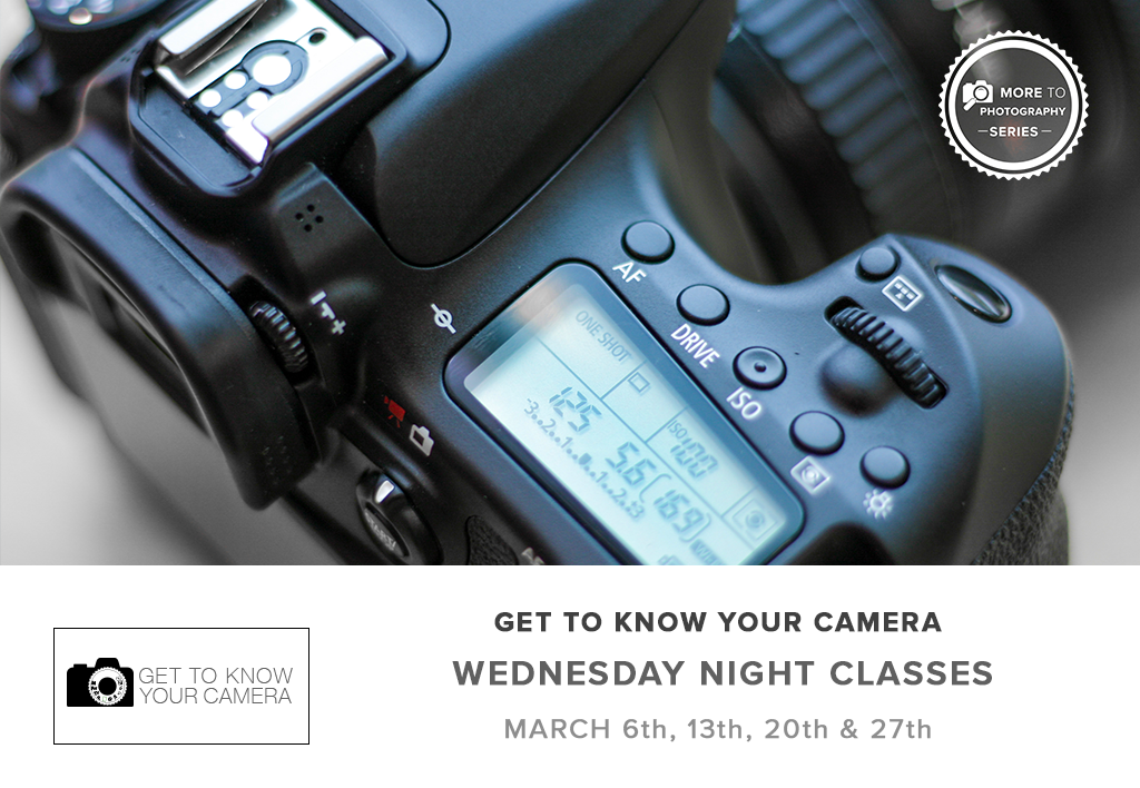 Camera Basics Guide for Beginners - Photography Tips & Techniques (March 2019) | Perfect for DSLR, Mirrorless & Smartphone Photography Enthusiasts