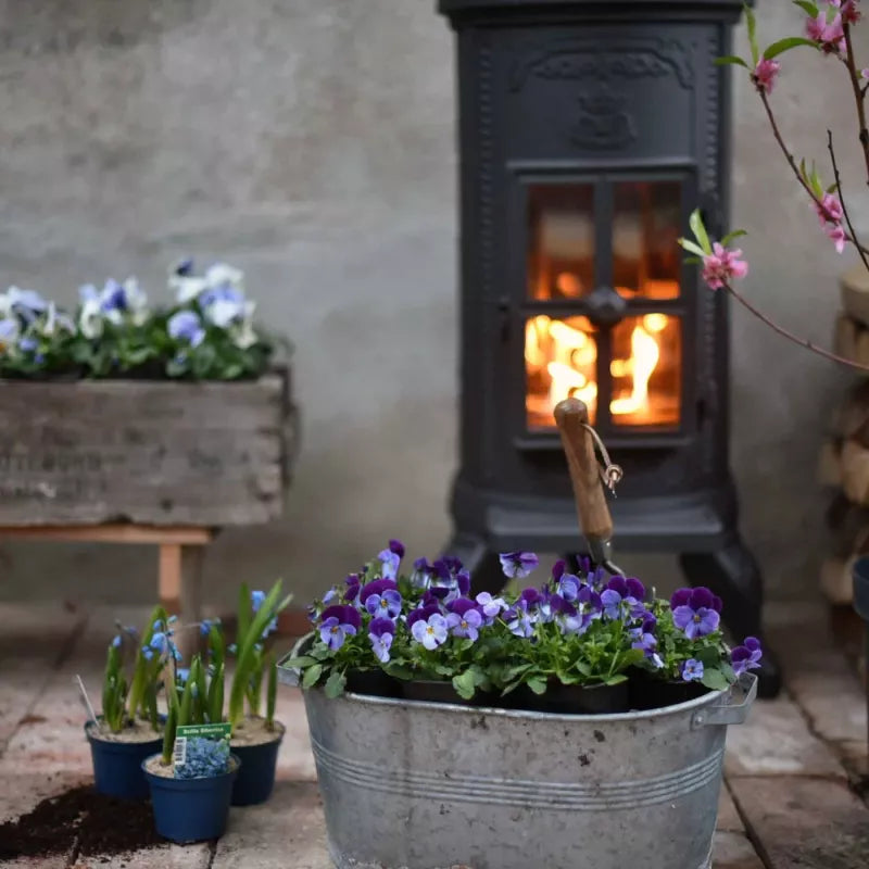 Westbo Carl BIO Cast Iron Stove - Efficient Wood Burning Fireplace for Home Heating & Cozy Ambiance - Perfect for Living Rooms, Cabins & Outdoor Spaces