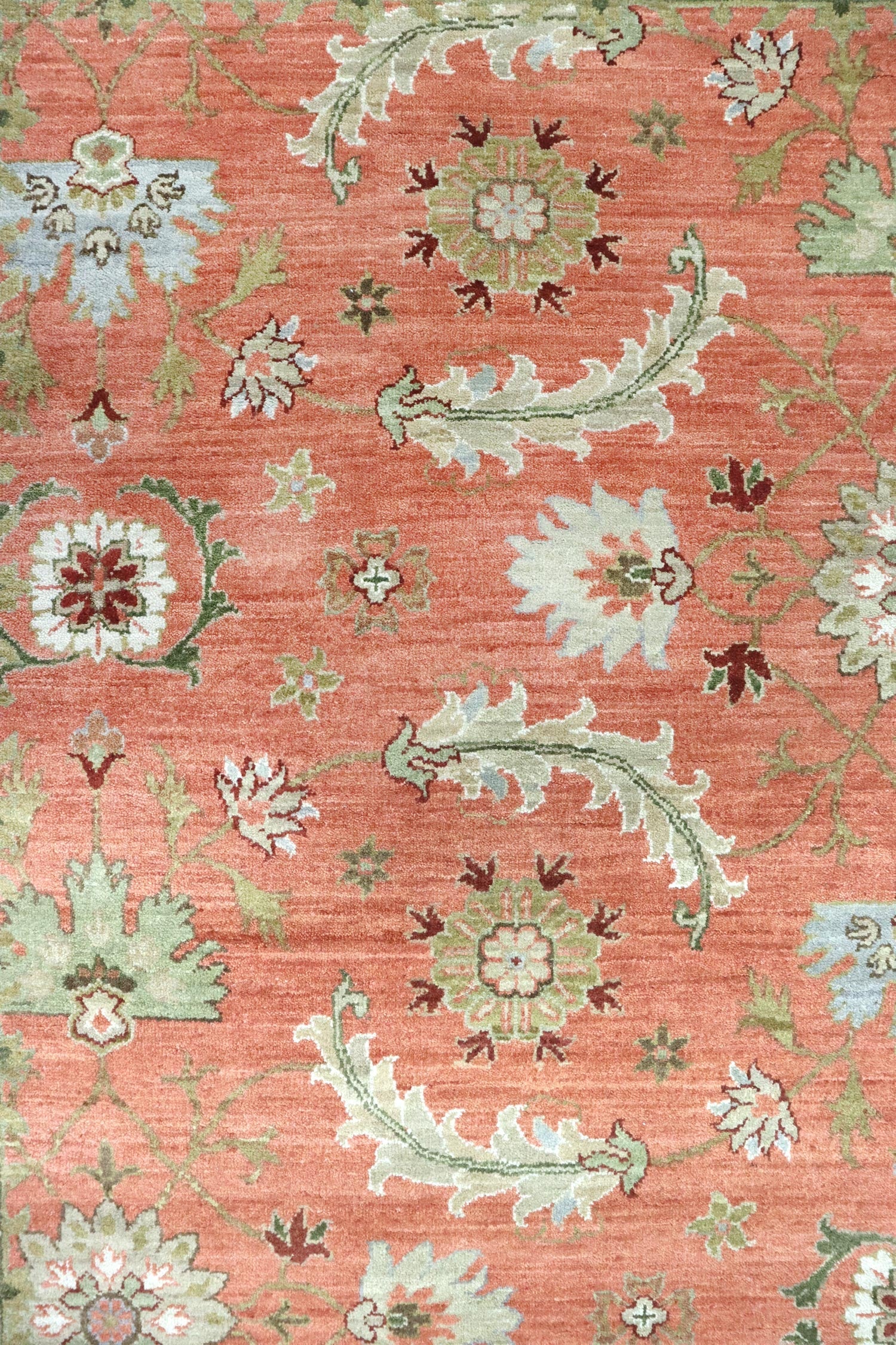Handwoven Agra Transitional Area Rug J65718 - Perfect for Living Room, Bedroom, and Home Decor