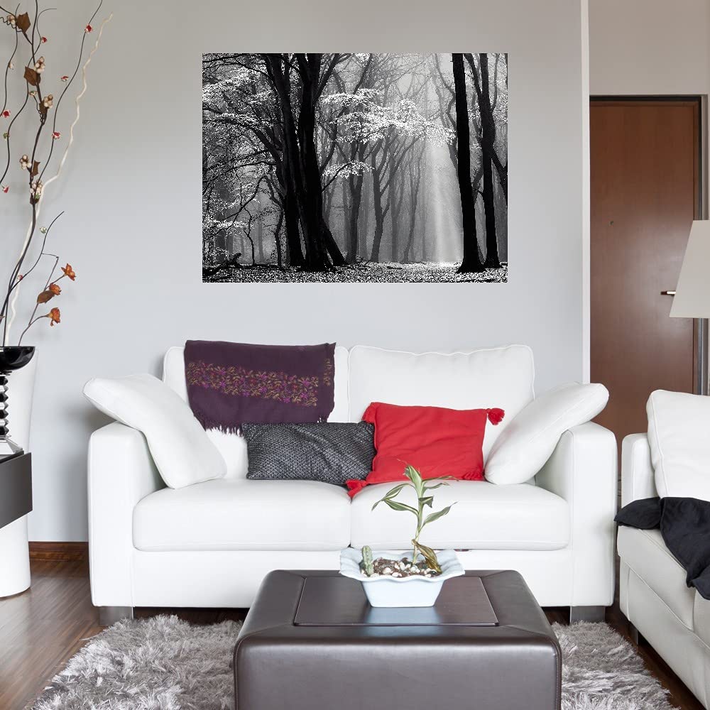 Winter Landscape Canvas Wall Art - 32x24 Inch Large Framed Painting for Bedroom & Living Room Decor | Scenic Nature Artwork by Lars Van de Goor | Perfect for Home, Office & Gift Giving