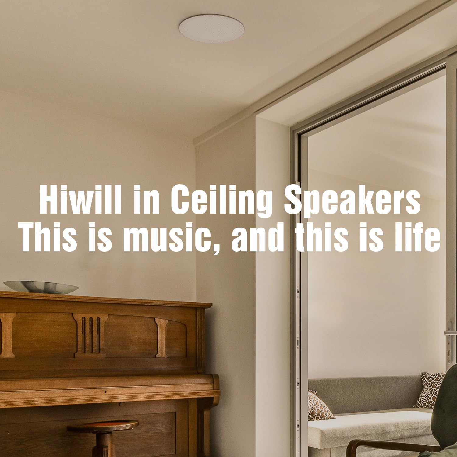 Hiwill C6 2-Pack 6.5