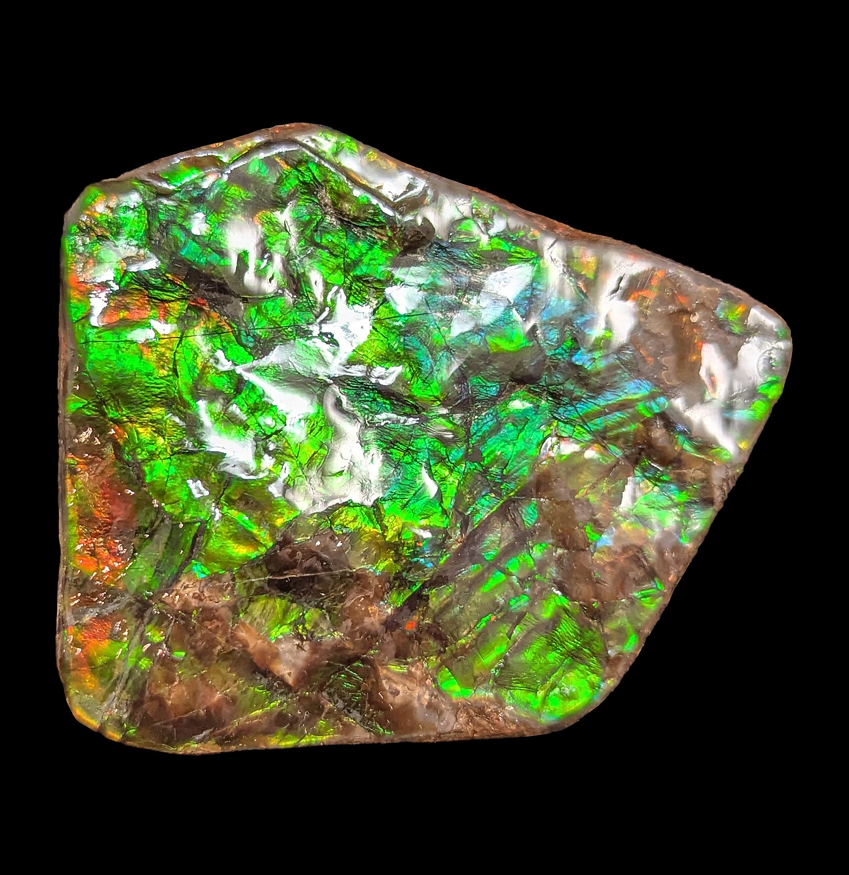 Natural Large Ammolite Gemstone Fragment - Rare Iridescent Fossilized Shell for Jewelry Making & Mineral Collection | Perfect for DIY Crafts, Home Decor, and Healing Crystal Displays
