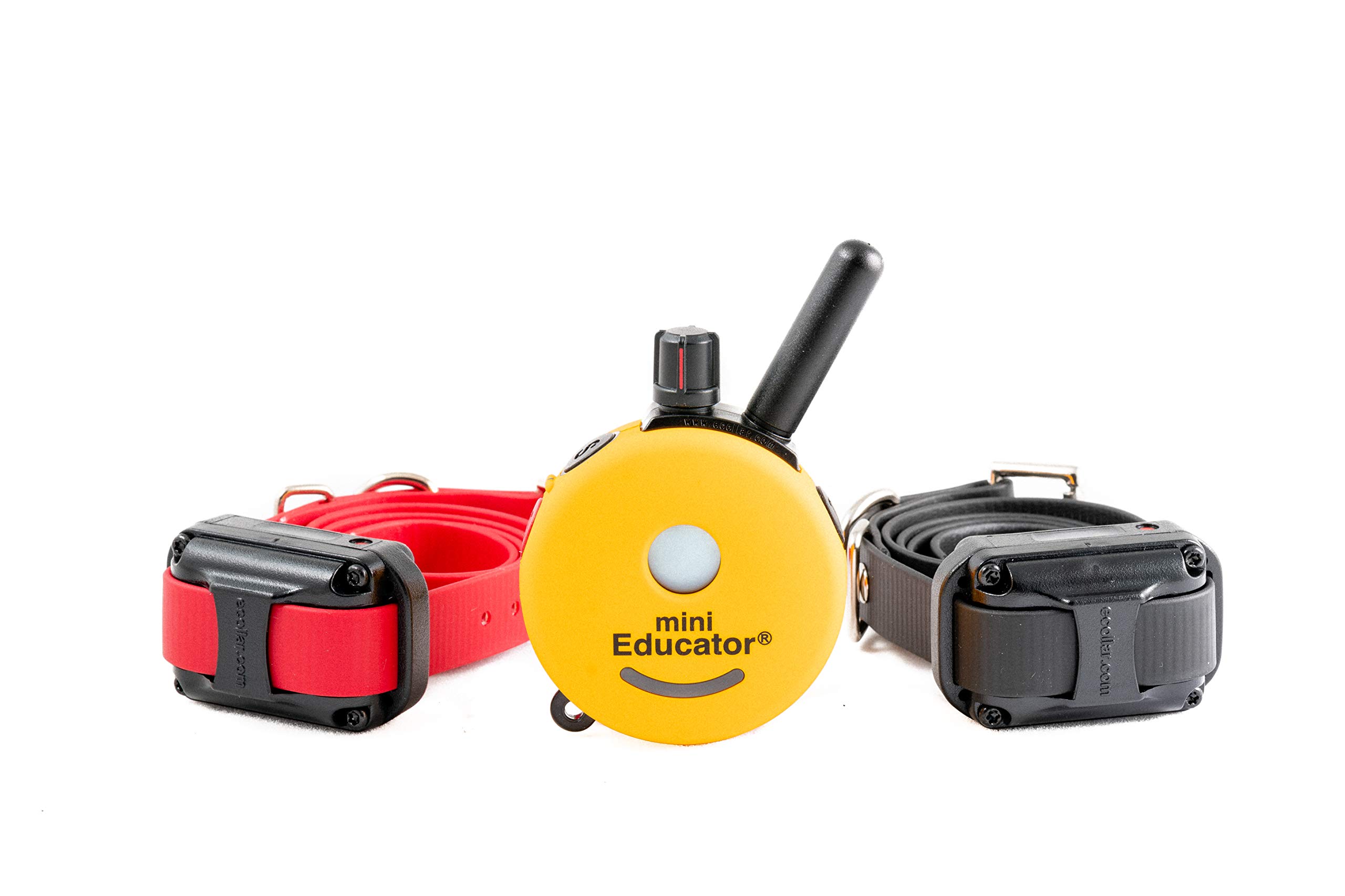 ET-302 Remote Dog Training Collar - Waterproof Educator E-Collar with Vibration & Tapping Sensation + Free Soft Pet Grooming Glove | Perfect for Obedience Training, Behavior Correction & Daily Grooming at Home or Outdoors