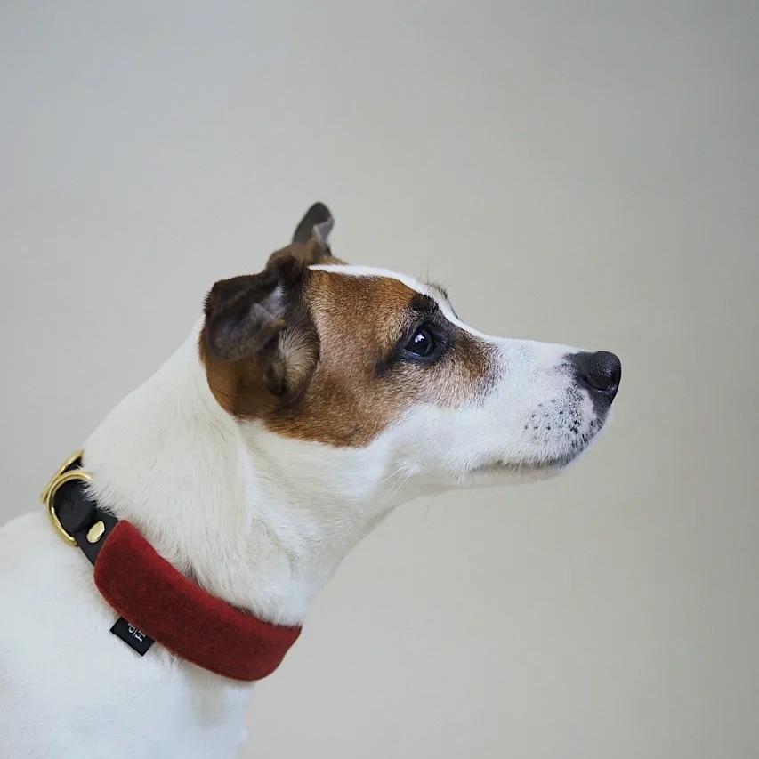 Premium Biothane Dog Collar with Pony Mascarpony Design - Durable, Waterproof & Adjustable Pet Collar for Small, Medium & Large Dogs - Perfect for Walking, Training & Outdoor Adventures