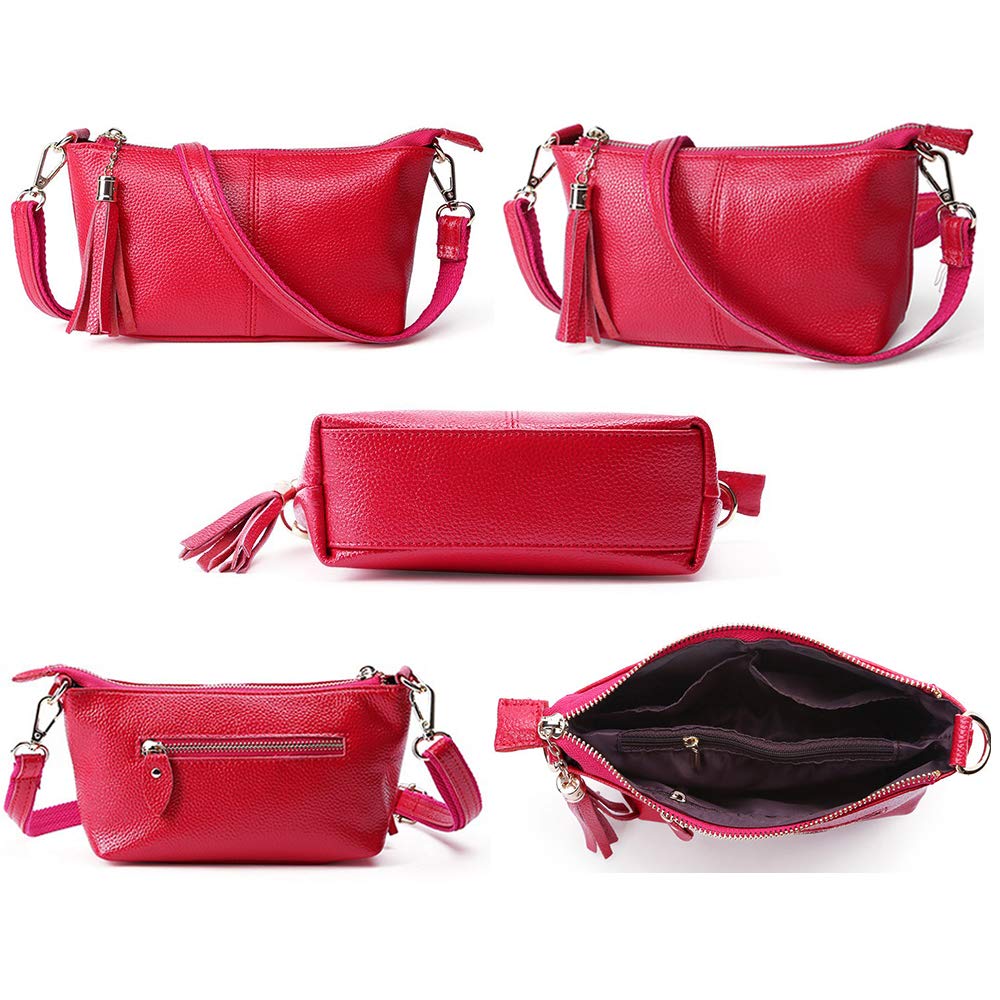 Stylish Women's Leather Crossbody Messenger Bag with Tassel - Small Shoulder Purse for Phone & Wallet | Perfect for Work, Travel & Daily Use