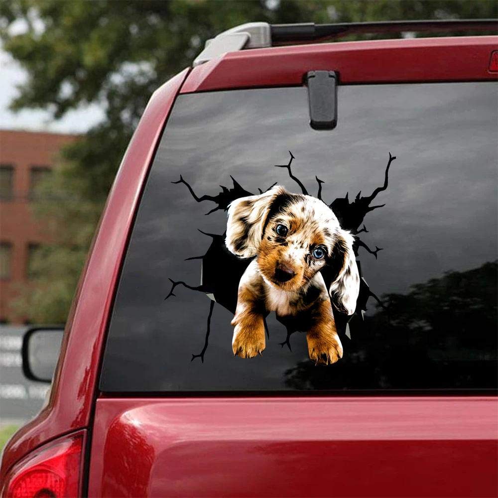 Realistic Dapple Miniature Dachshund Car Decals - Pack of 2 Waterproof Vinyl Stickers for Windows, Laptops & Walls (8