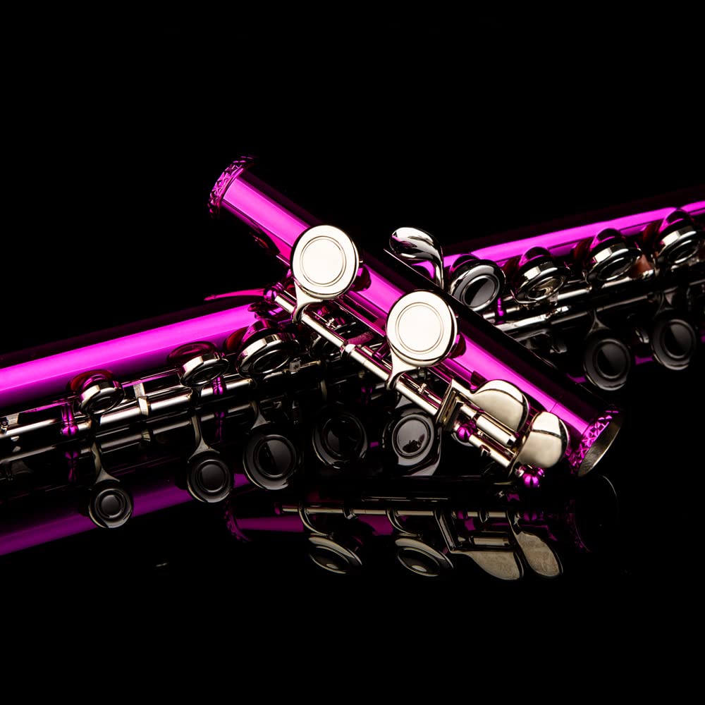 16 Keys C Flute with Engraved Flower Design - Closed Hole Student Flute for Beginners | Includes Cleaning Kit, Stand, Carrying Case, Gloves & Tuning Rod | Perfect for School Band, Music Practice & Gift (Pink)