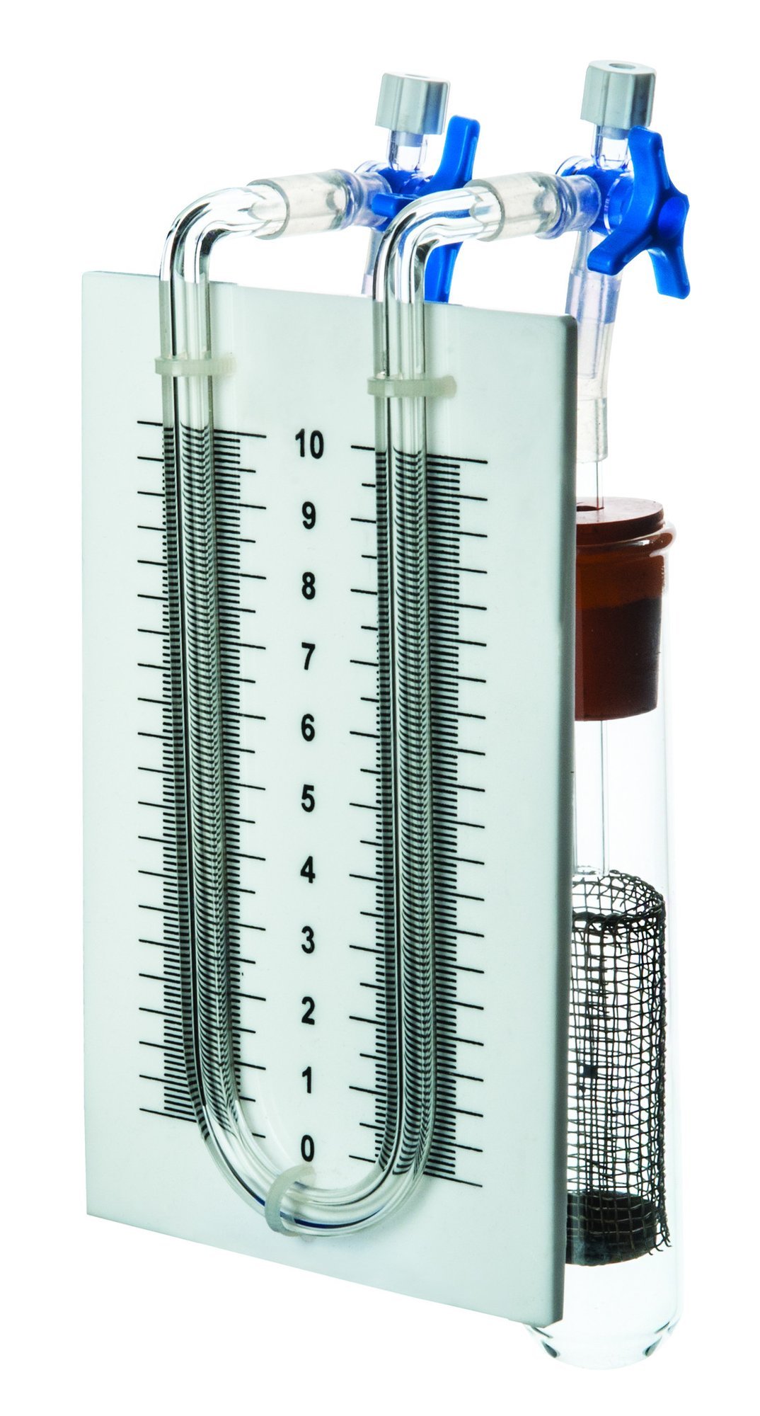 EISCO Simple Respirometer - Biology Lab Equipment for Measuring Oxygen Consumption in Plants & Animals | Perfect for Classroom Experiments & Science Projects