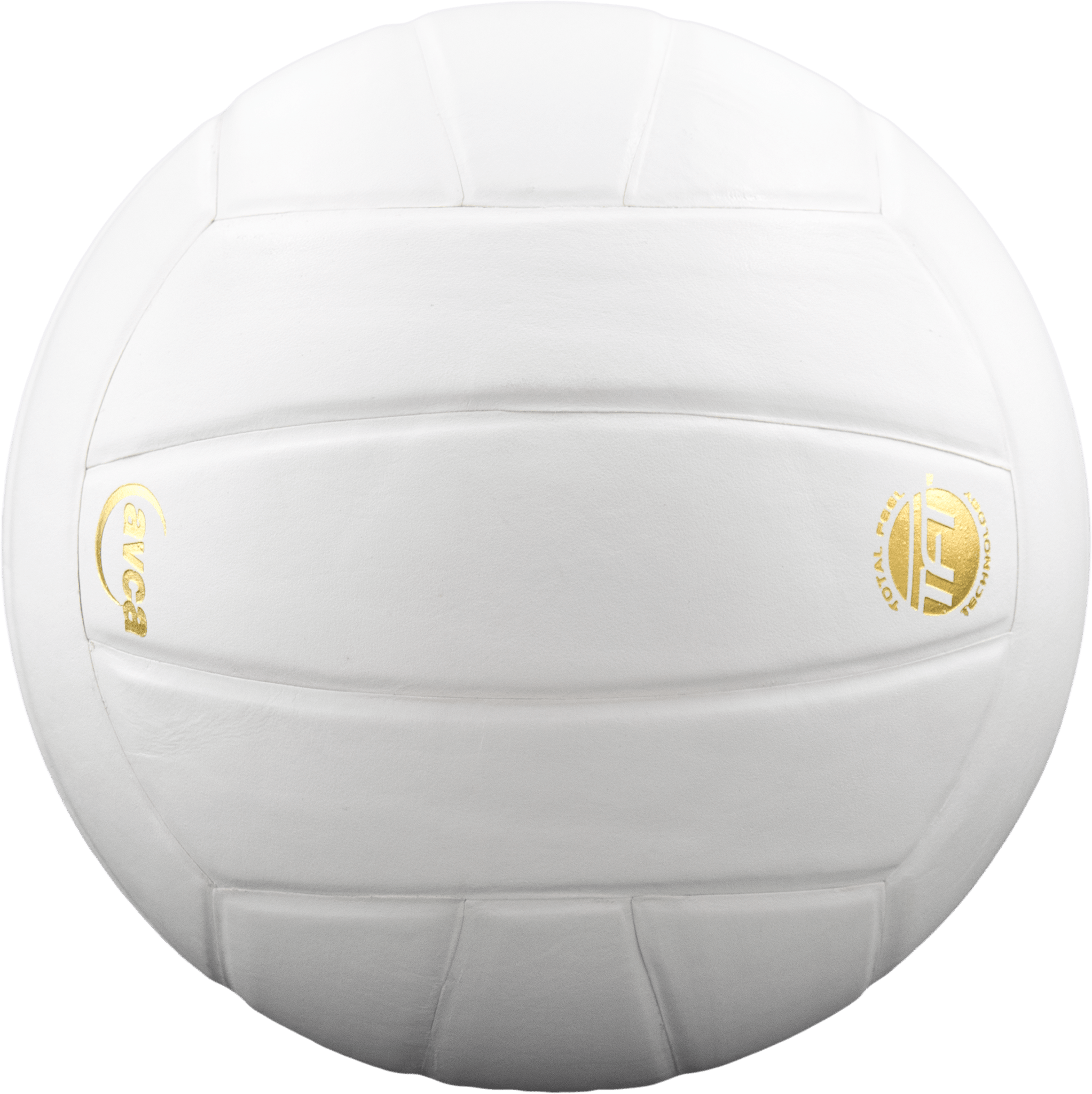 Premium Lexum Microfiber Volleyball - Official Size & Weight for Indoor/Outdoor Play - Perfect for Training, Games & Beach Volleyball