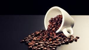 Premium Jamocha Almond Fudge Arabica Coffee Beans - 5lb Fresh Roasted Gourmet Blend with Rich Chocolate & Almond Flavors - Perfect for Home Brewing, Office Coffee Breaks & Gift Giving
