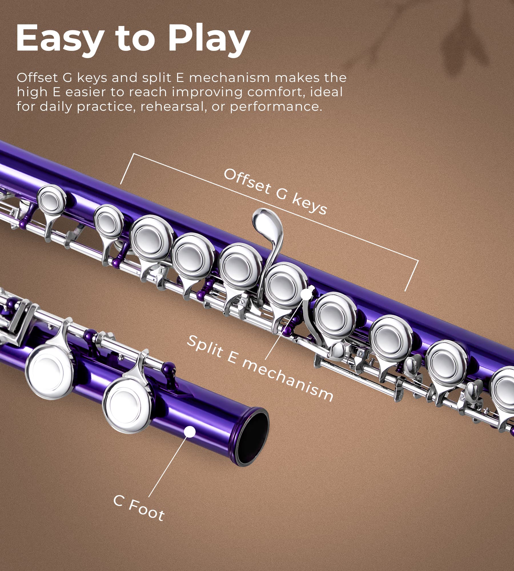Vangoa 16-Key C Flute for Beginners - Nickel Plated Closed Hole Student Flute with Carrying Case, Stand & Cleaning Kit (Purple) - Perfect for School Band, Music Lessons & Home Practice