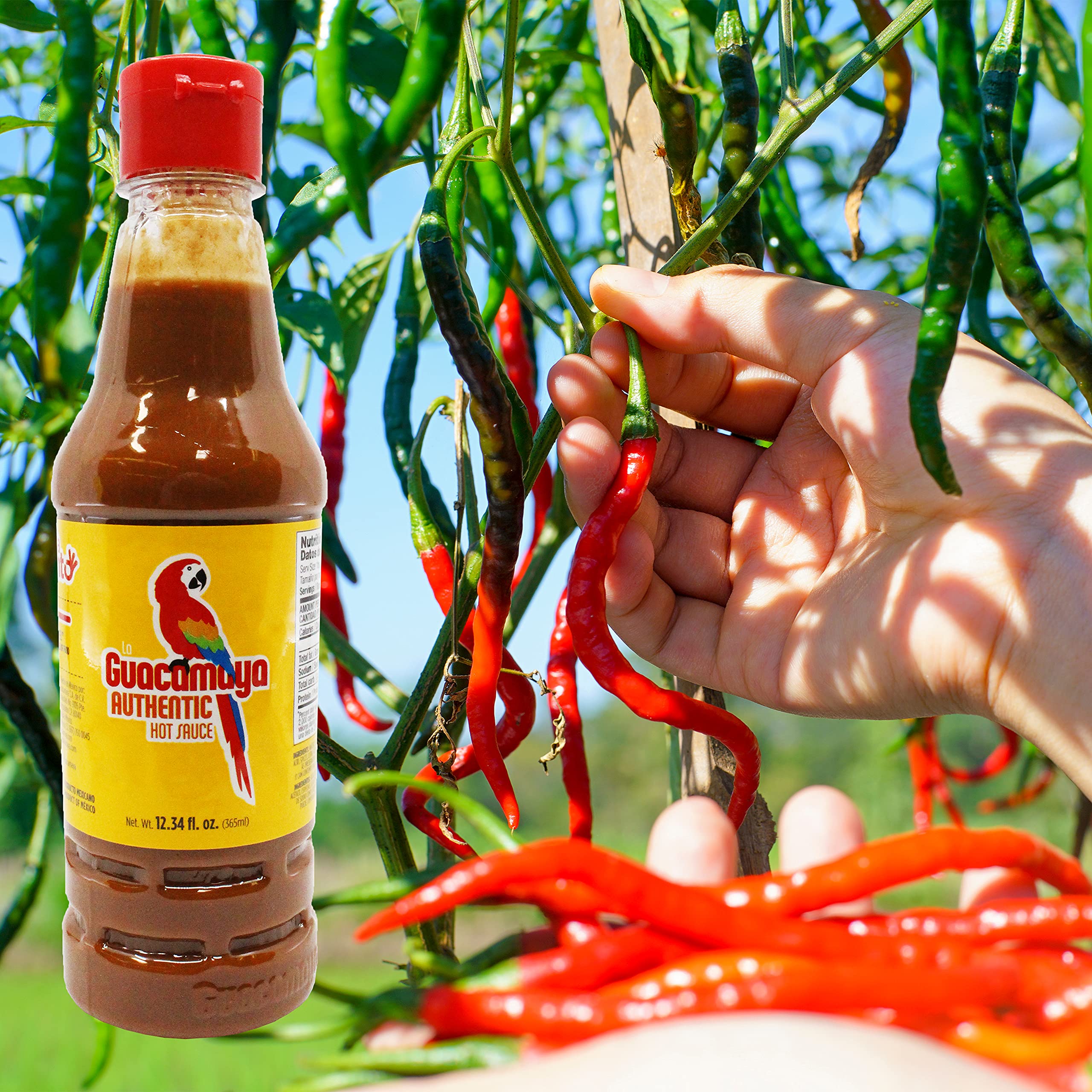 La Guacamaya Authentic Hot Sauce - 12.34 oz Bottle | Premium Mexican Chili Pepper Sauce | Perfect for Tacos, Nachos & Grilled Meats | Spicy Gourmet Condiment