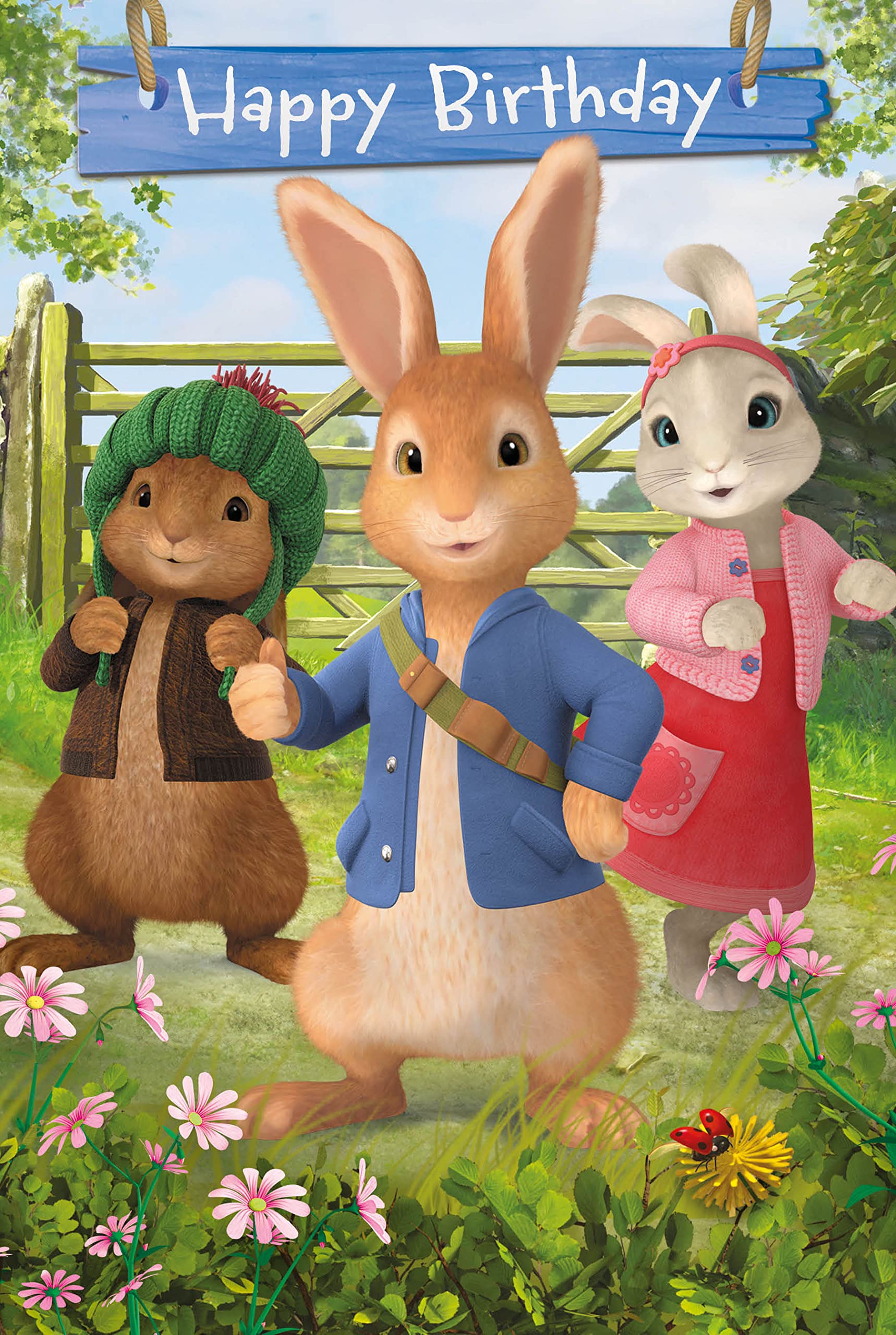 Peter Rabbit Birthday Card - Cute & Whimsical Greeting Card for Kids & Adults - 9x6 Inch Multi-Pack - Perfect for Birthdays, Parties & Special Occasions