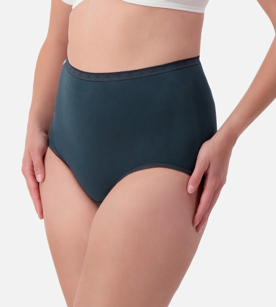 SLOGGI Women's Comfortable Cotton Maxi Briefs 2-Pack - Soft Underwear for Everyday Wear & Lounge