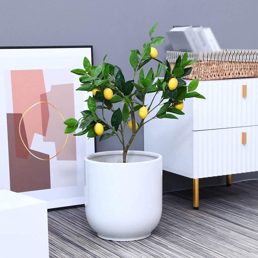 WANIYA1 White Ceramic Plant Pots - Large Round Indoor Flower Pots with Drainage Hole for Succulents, Bonsai, Houseplants | Modern Garden Decor for Home, Office, Balcony (19CM Diameter)
