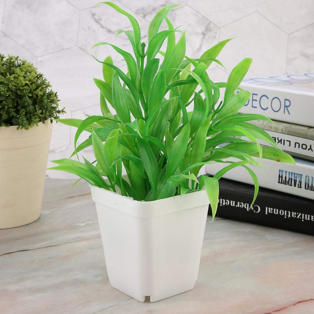 Haofy 20Pcs Plastic Seedling Starter Pots with Drain Holes - Colorful Flower Plant Nursery Containers (White) for Indoor Herb Garden, Succulent Propagation & Home Gardening