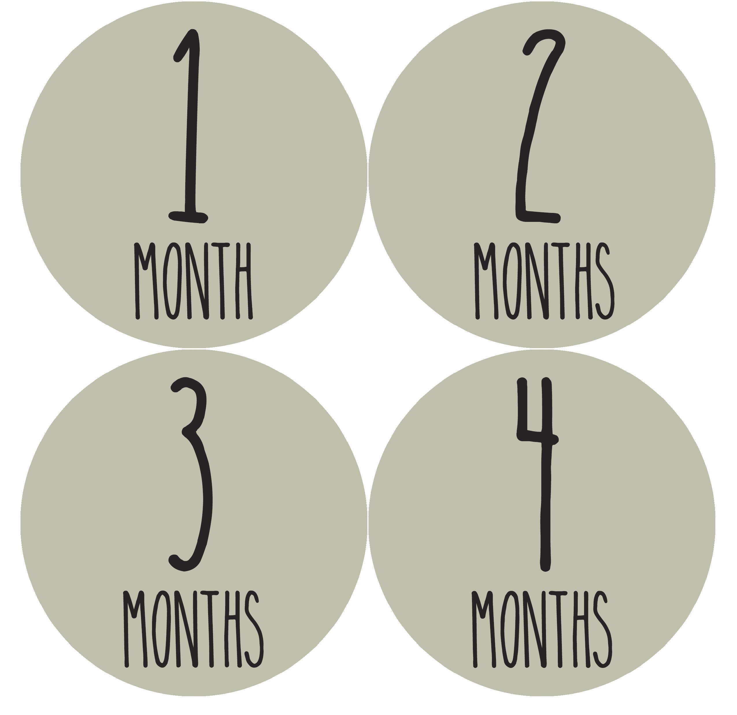 Baby Monthly Milestone Stickers Set of 24 - Gender Neutral Newborn Growth Tracking Stickers for Boys & Girls - Perfect for Baby Photo Shoots, Scrapbooking & First Year Memory Keepsakes