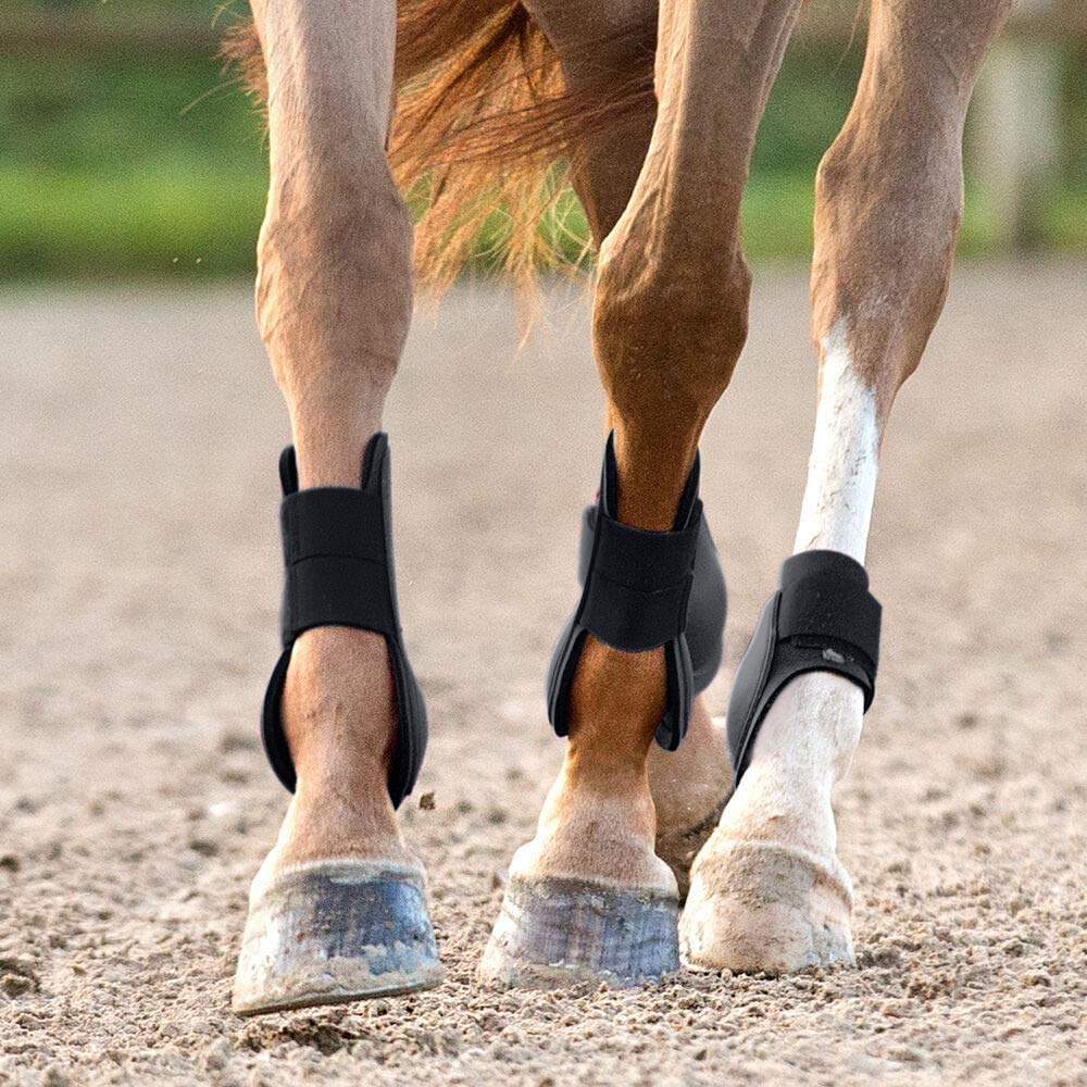 Premium Horse Tendon Boots & Bell Boots Combo Pack - Protective Leg Gear for Jumping, Training & Riding - Durable Support for Show Horses & Equestrian Sports