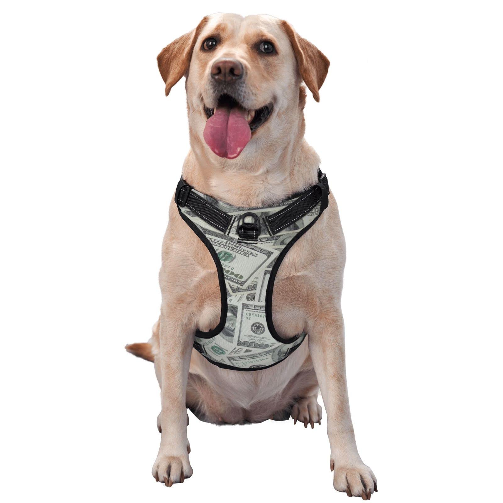 Breathable No-Pull Dog Harness with Leash - Escape Proof Soft Padded Vest for Training & Outdoor Walking | Comfortable & Adjustable for Small Medium Large Dogs | Perfect for Hiking, Jogging and Daily Walks