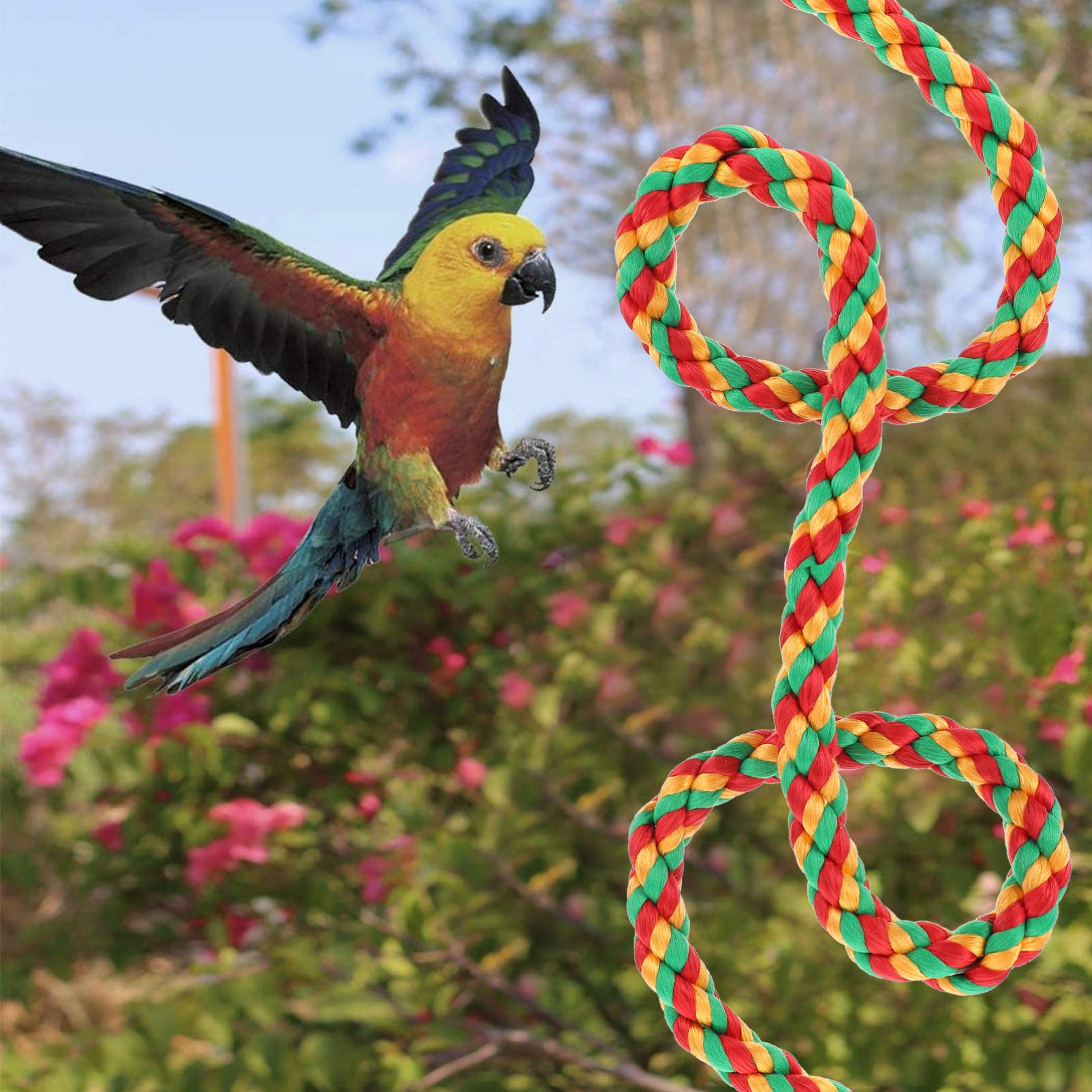 iplusmile Natural Cotton Parrot Chewing Toy - 2pcs Bird Rope Perch & Swing for Cage (30cm + 55cm) - Safe Teething Toys for Parrots, Cockatiels, Lovebirds - Perfect for Climbing, Chewing & Playtime Activities
