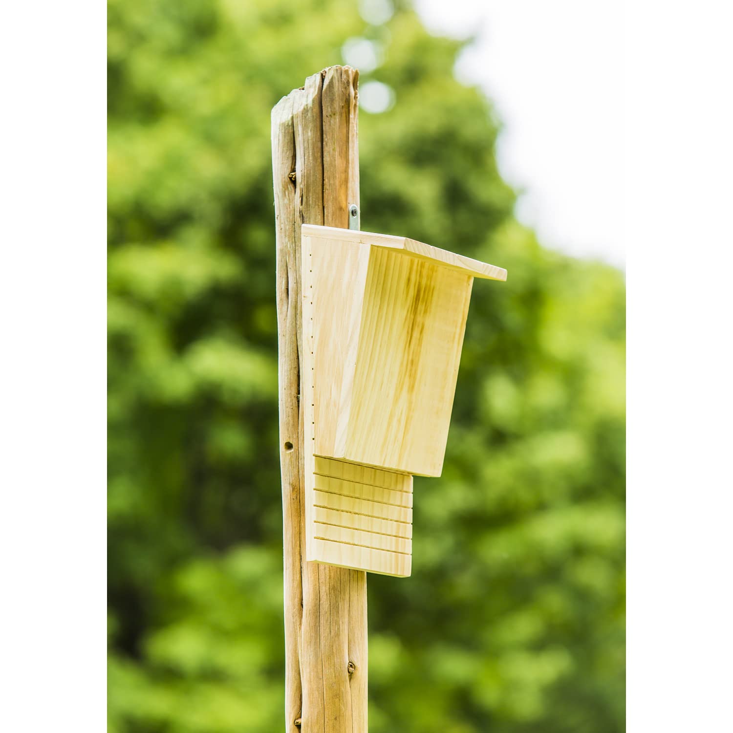 Evergreen Natural Wooden Bat House for Outdoor Pest Control - Eco-Friendly Bat Shelter for Gardens & Backyards - Attract Bats Naturally to Reduce Mosquitoes