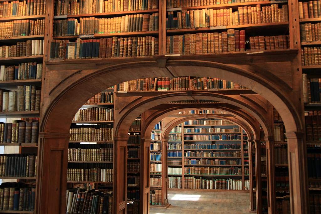 Vintage Antique Book Laminated Library Shelves - 18x12 Inch Educational Poster for Reading Room, College, University, Classroom & Homeschool Decor - Dry Erase Wall Art for Teachers & Learning Supplies - Perfect for Study Spaces & Literary-Themed Decor