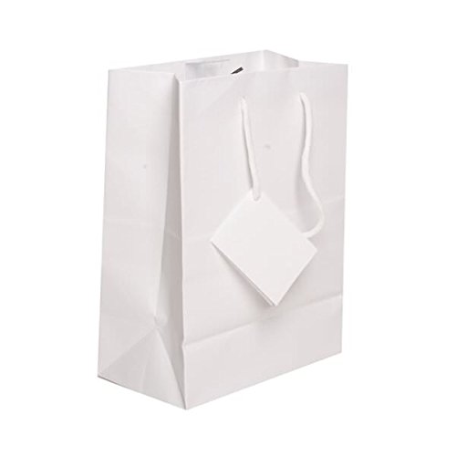 Premium White Matte Gift Bags with Rope Handles - 8