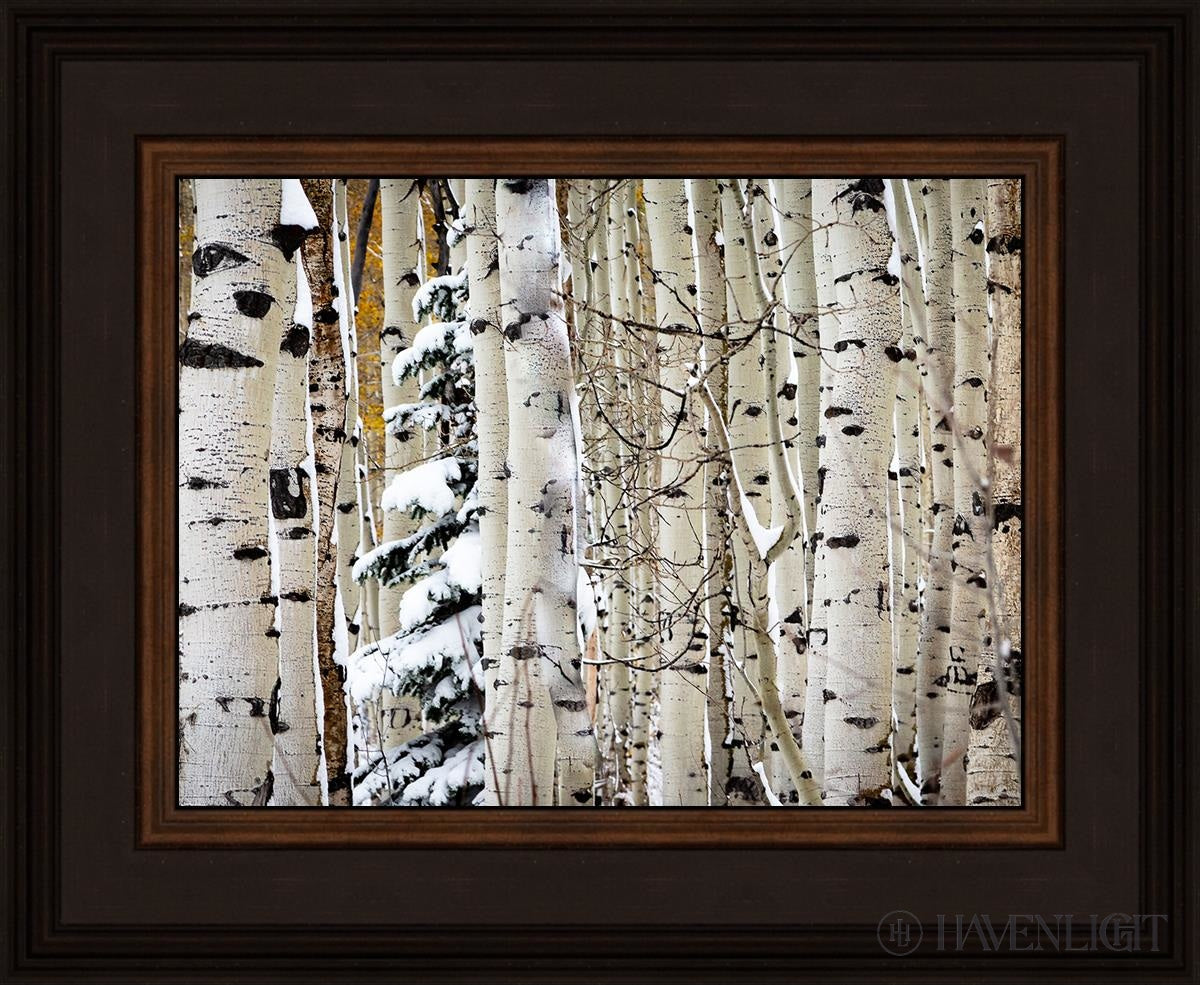 Christmas Around the Corner - Stunning Guardsman Pass Landscape Photo Print - Park City Utah Wall Art - Perfect for Holiday Home Decor & Winter Gift Ideas