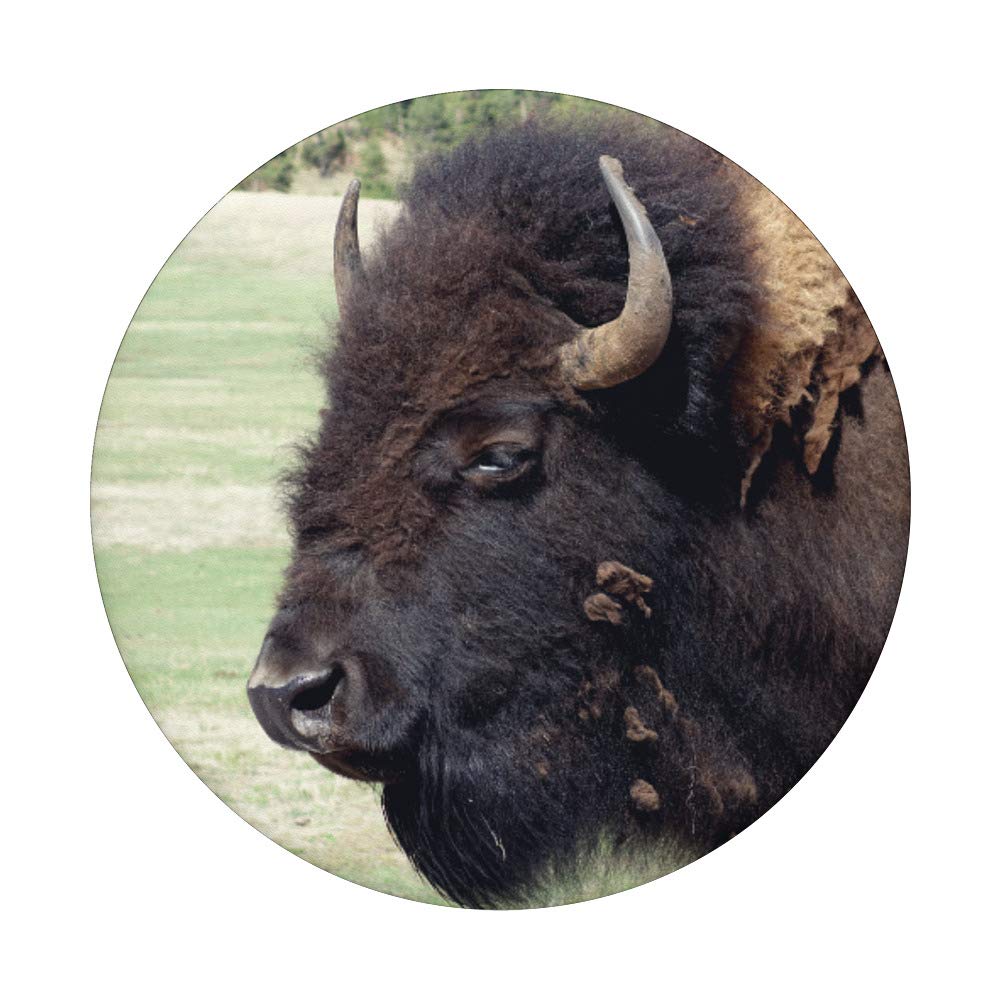Buffalo Design PopSockets PopGrip - Interchangeable Phone Grip & Stand for iPhone, Samsung Galaxy - Perfect for Selfies, Video Calls, and Secure Phone Handling