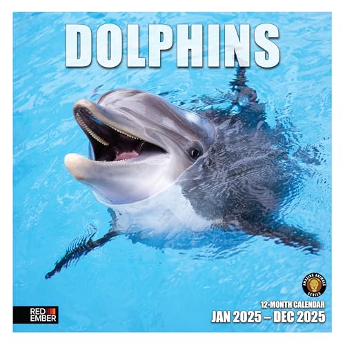 18 - Dolphins