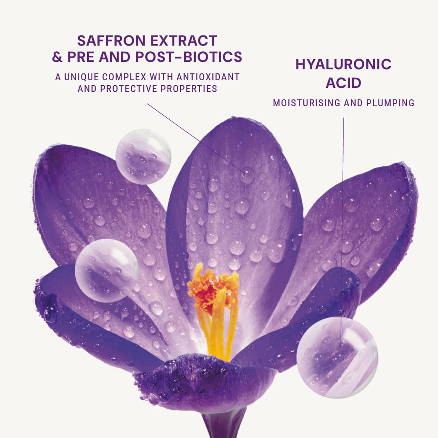 Panier des Sens Anti Aging Face Serum with Saffron Extract & Hyaluronic Acid - Wrinkle Reduction & Lifting Treatment - 97% Natural Hydrating Facial Serum for Women - Made in France | Perfect for Daily Skincare Routine & Nighttime Rejuvenation