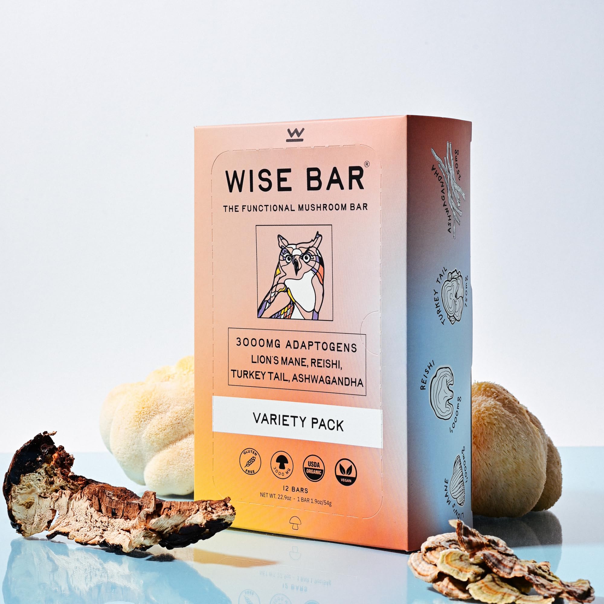 Organic Vegan Adaptogen Mushroom Nutrition Bars with Reishi, Lions Mane & Ashwagandha - Gluten Free Snacks for Natural Focus, Energy & Immunity Support - Variety Flavor Pack (12 Count) - Perfect for Hiking, Office Snacks & Post-Workout Recovery