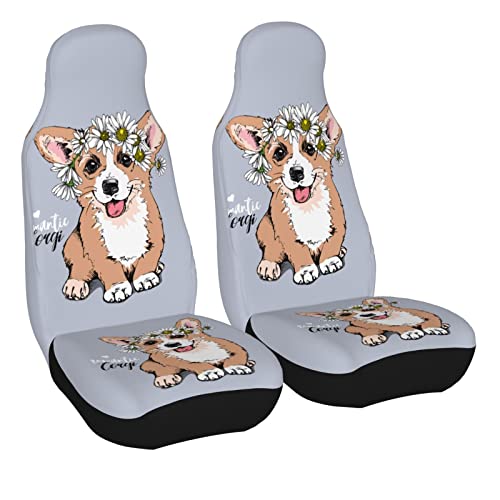 Welsh Corgi