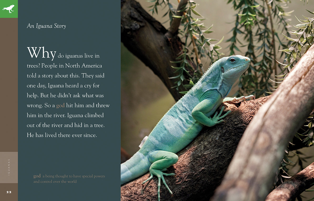 Amazing Animals (2014): Iguanas - Educational Wildlife Documentary for Kids & Nature Lovers - Perfect for Classroom Learning & Family Movie Nights