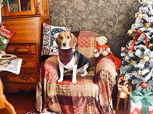 Elegant Dog Bandana for Small Medium Large Dogs - Adjustable Square Kerchief Scarf for Boy & Girl Pets | Perfect for Walks, Photos & Special Occasions