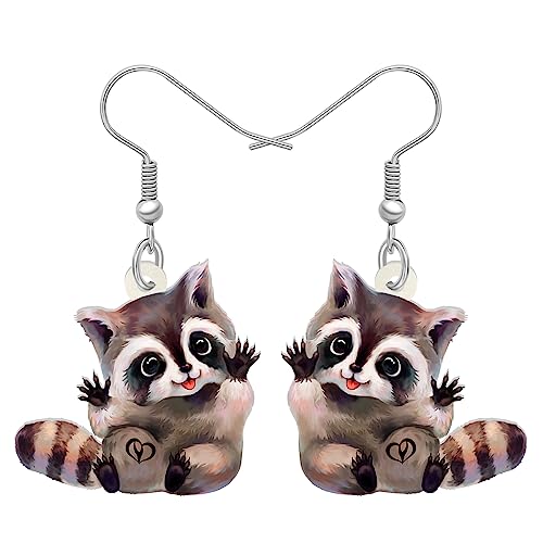 Raccoon B
